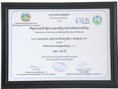GAP certification