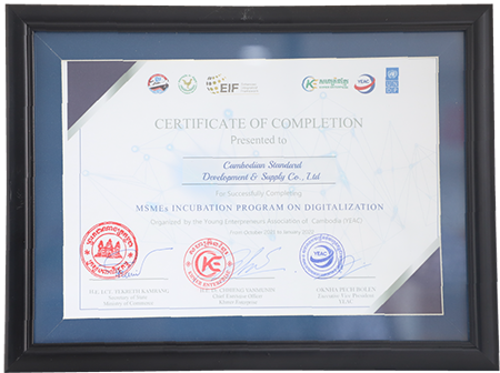 MSME digitalization incubation completion certificate